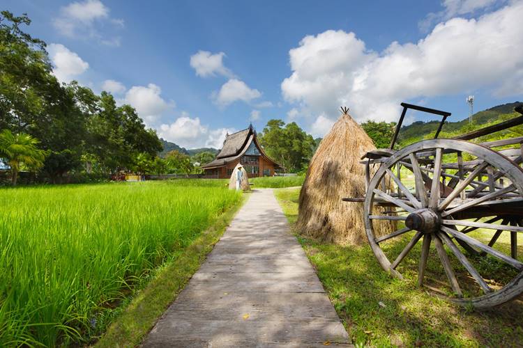 ที่พักป่าตองภูเก็ตน้องหมาพักได้