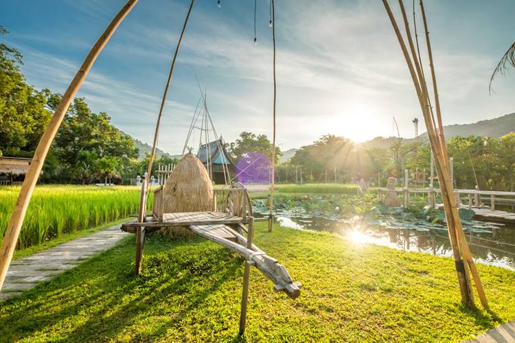 ที่พักป่าตองภูเก็ตน้องหมาพักได้