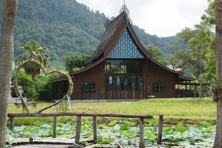 ที่พักป่าตองภูเก็ตน้องหมาพักได้