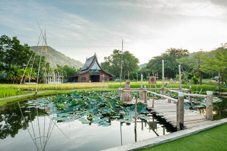 ที่พักป่าตองภูเก็ตน้องหมาพักได้