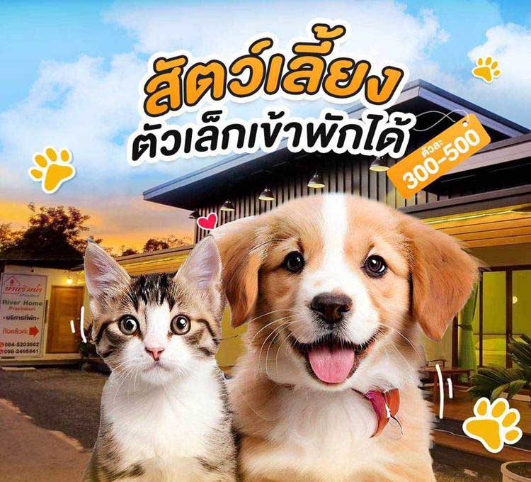 ที่พักปราจีนน้องหมาพักได้