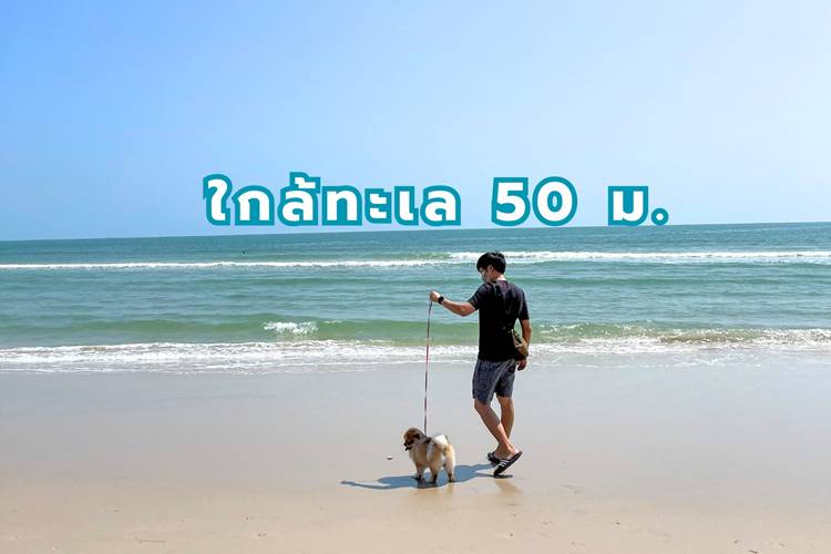 ที่พักหัวหินน้องหมาพักได้