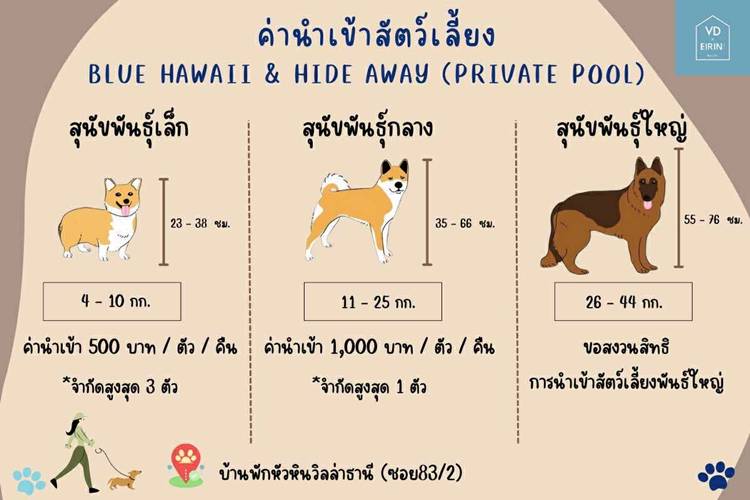 ที่พักหัวหินน้องหมาพักได้