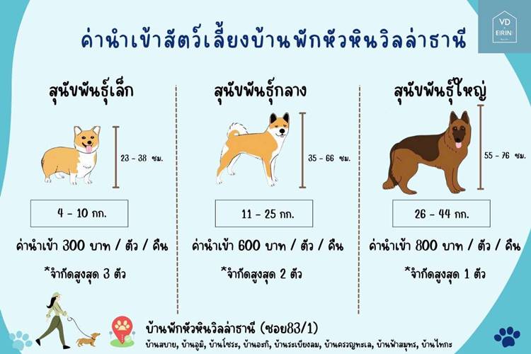 ที่พักหัวหินน้องหมาพักได้
