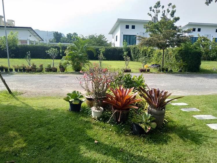ที่พักปราณน้องหมาพักได้