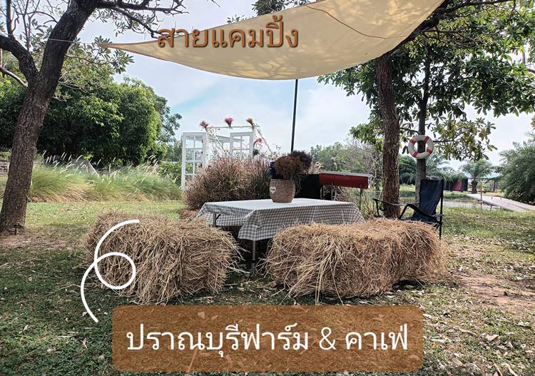 ที่พักที่ปราณบุรีน้องหมาพักได้