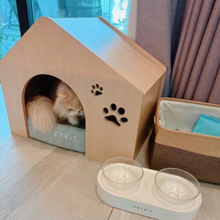 ที่พักประจวบน้องหมาพักได้