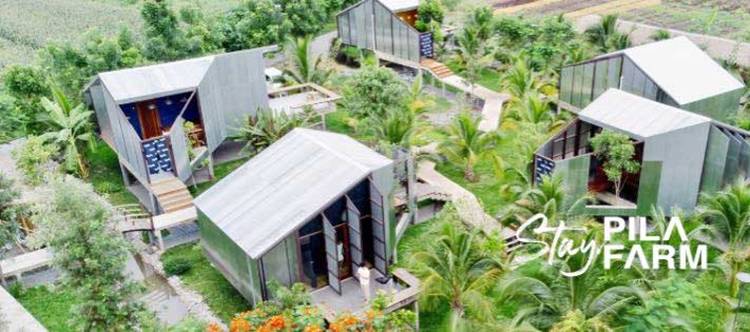 ที่พักเขาค้อน้องหมาพักได้