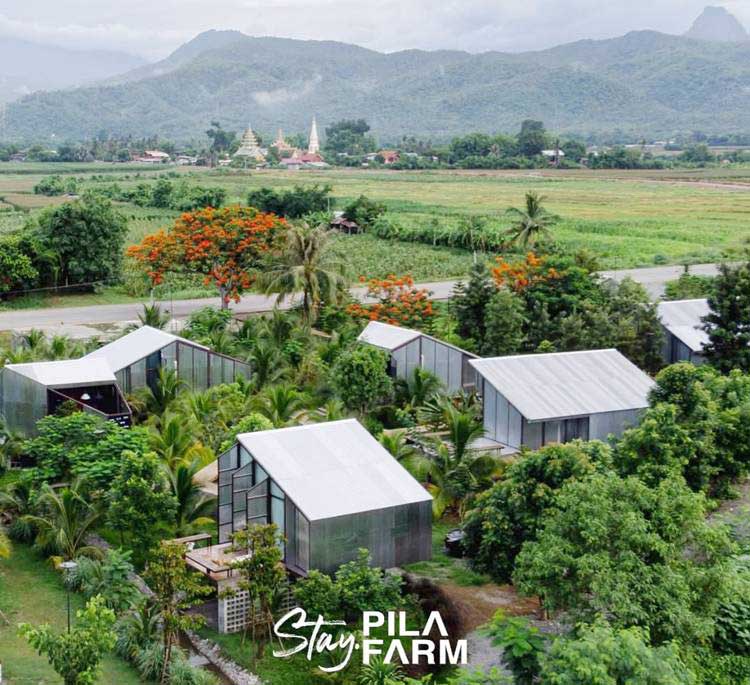 ที่พักเขาค้อน้องหมาพักได้