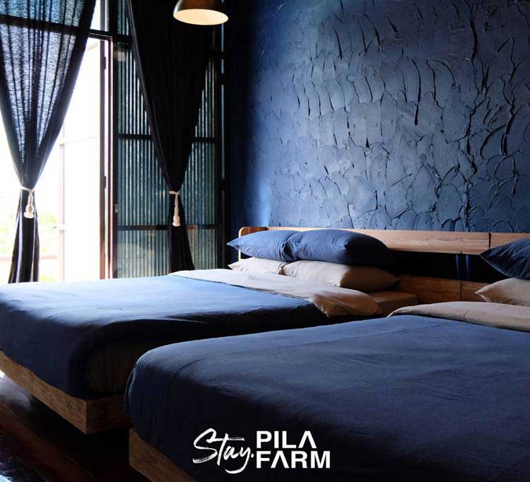 ที่พักเขาค้อน้องหมาพักได้