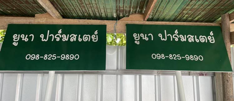 ที่พักราชบุรีน้องหมาพักได้