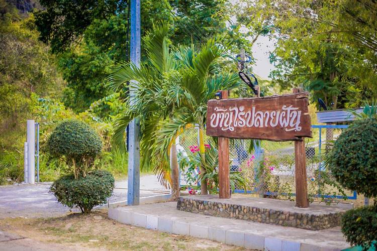 ที่พักจอมบึงน้องหมาพักได้