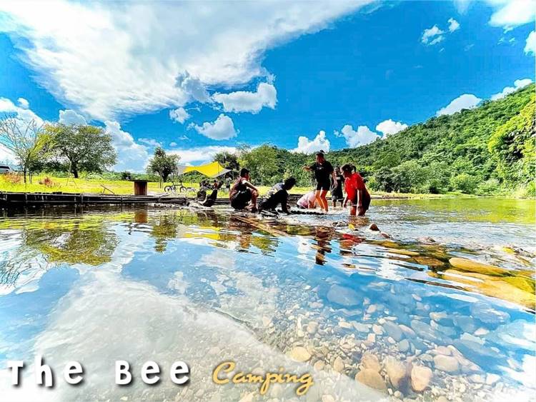ลานกางเต็นท์สวนผึ้งหมาพักได้