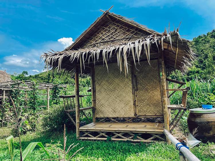 ลานกางเต็นท์สวนผึ้งหมาพักได้