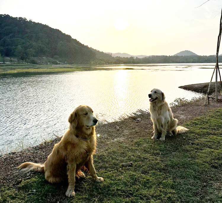 ที่พักแกลงน้องหมาพักได้