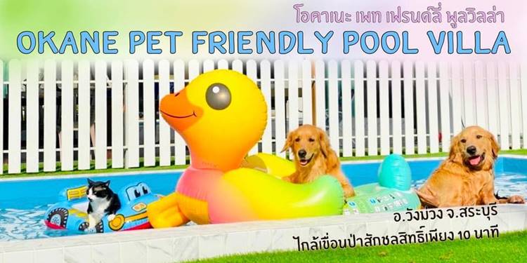 สระบุรีน้องหมาพักได้