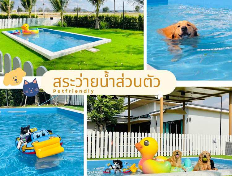 สระบุรีน้องหมาพักได้