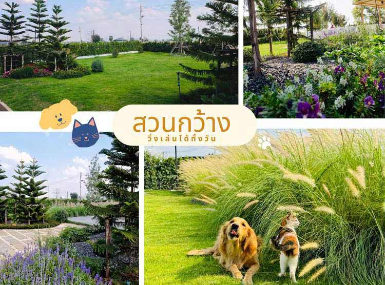 สระบุรีน้องหมาพักได้