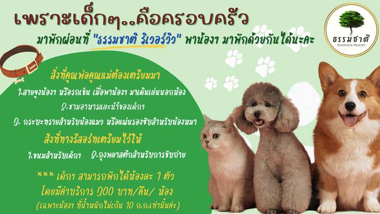 ที่พักแม่กลองน้องหมาพักได้
