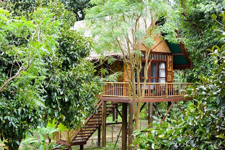 ที่พักสุราษน้องหมาพักได้