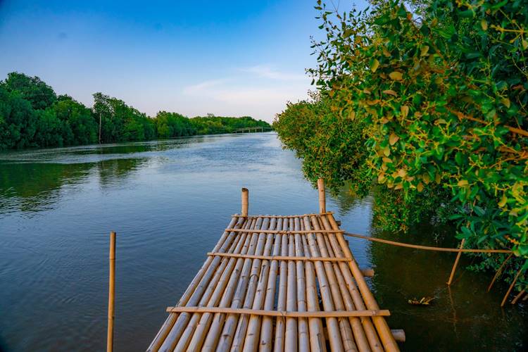 ที่พักสมุทรสาครหมาพักได้