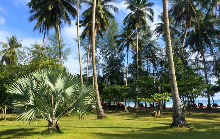 ที่พักเกาะกูดน้องหมาพักได้