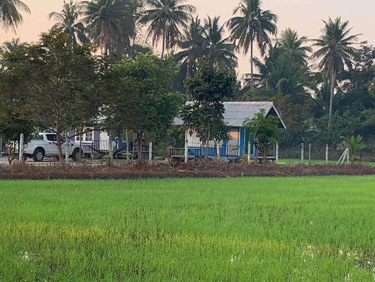 ที่พักอุทัยธานีน้องหมาพักได้