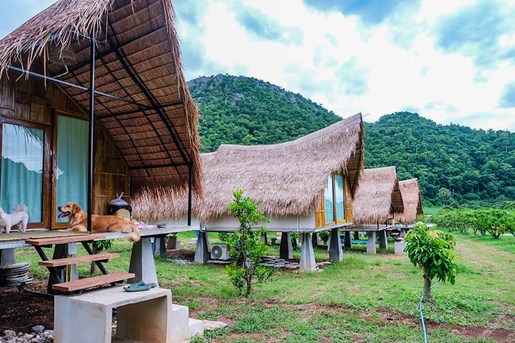 ที่พักอุทัยธานีน้องหมาพักได้
