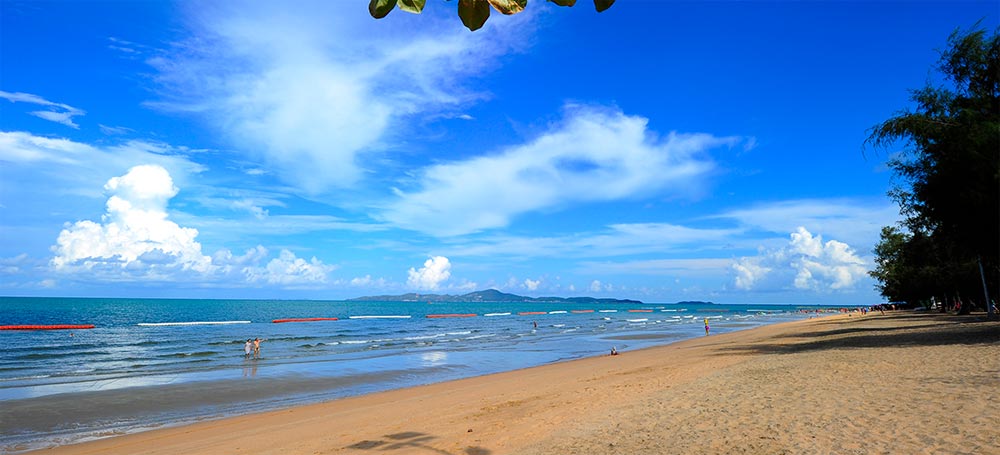 แรบบิทรีสอร์ทหาดดงตาลน้องหมาพักได้