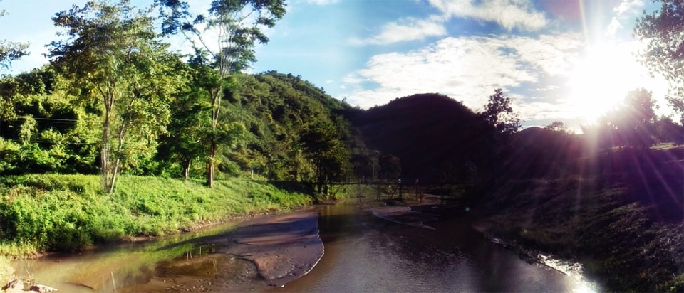 บ้านพราวฟ้าน้องหมาพักได้ สวนผึ้ง