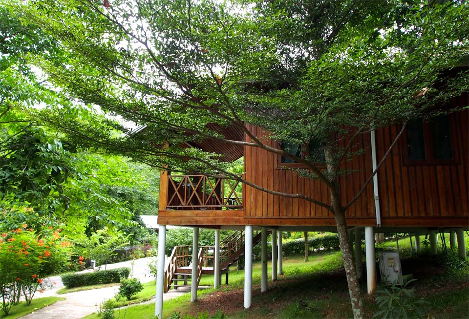 บ้านพราวฟ้าน้องหมาพักได้ สวนผึ้ง