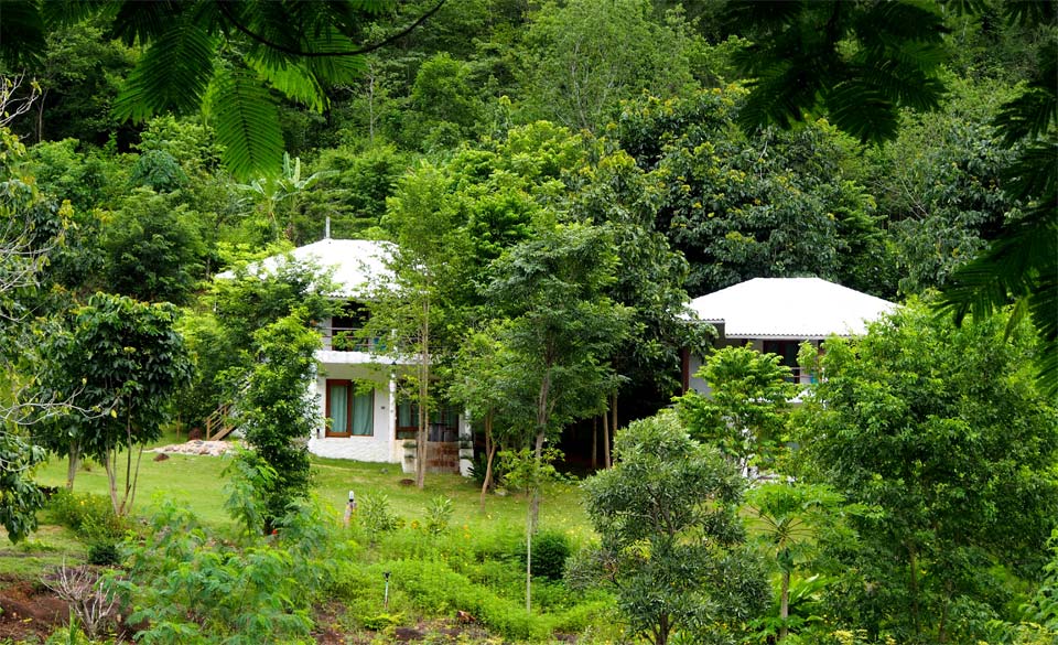 บ้านพราวฟ้าน้องหมาพักได้ สวนผึ้ง