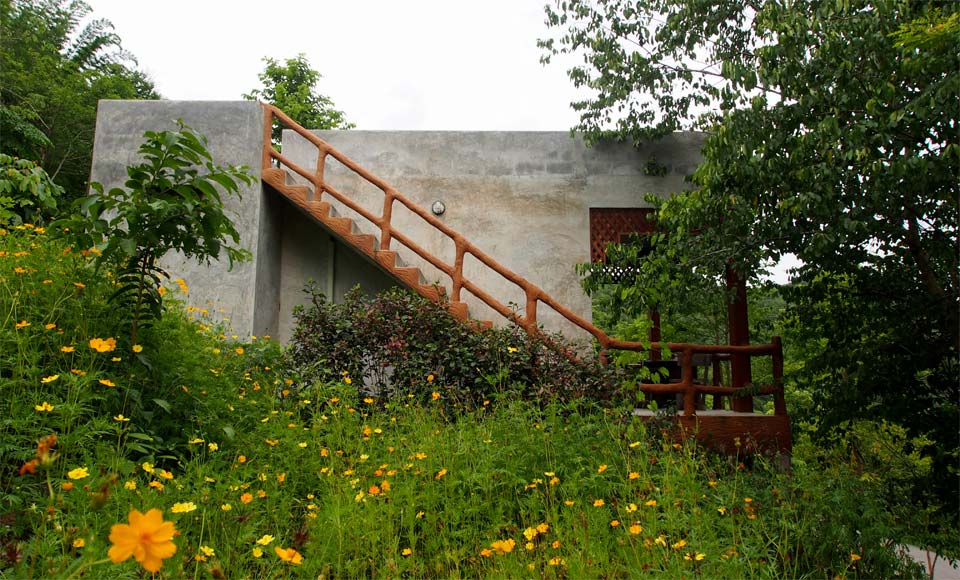 บ้านพราวฟ้าน้องหมาพักได้ สวนผึ้ง