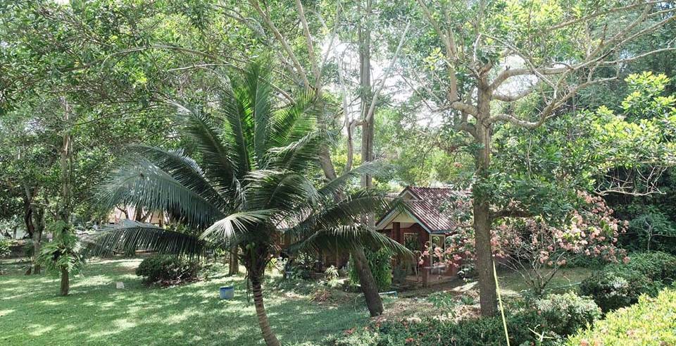 ที่พักในเมืองจันท์น้องหมาพักได้