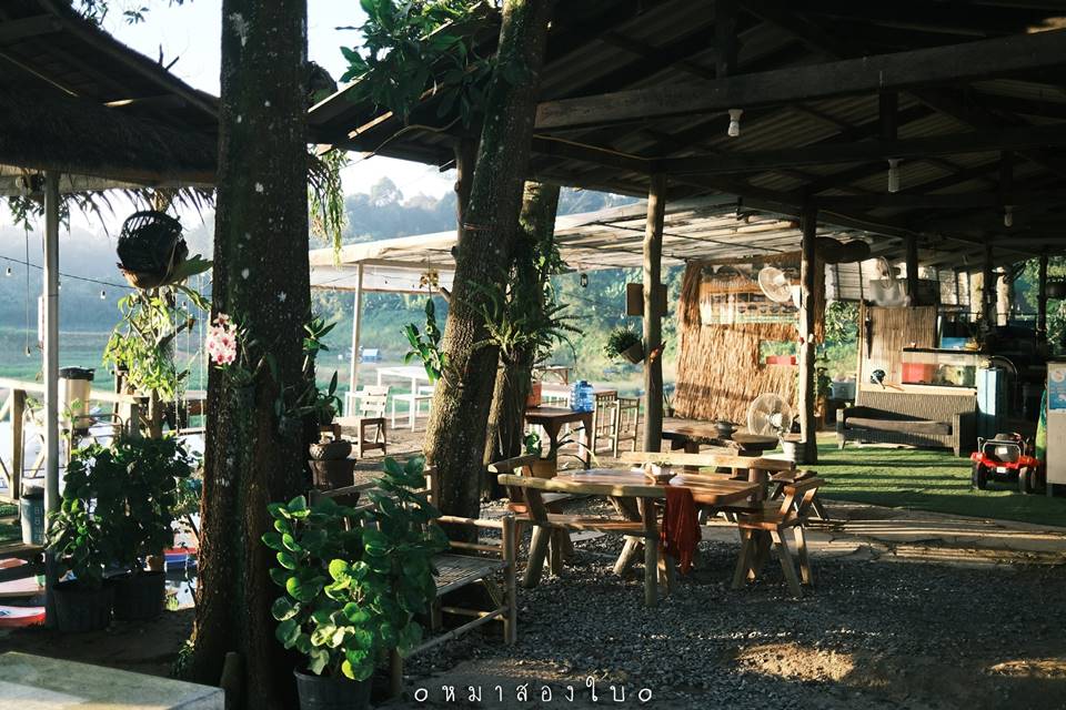 ที่พักกลางสวนทุเรียนเมืองจันท์หมาพักได้