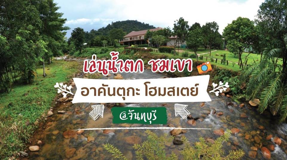 น้องหมาพักได้เมืองจันท์