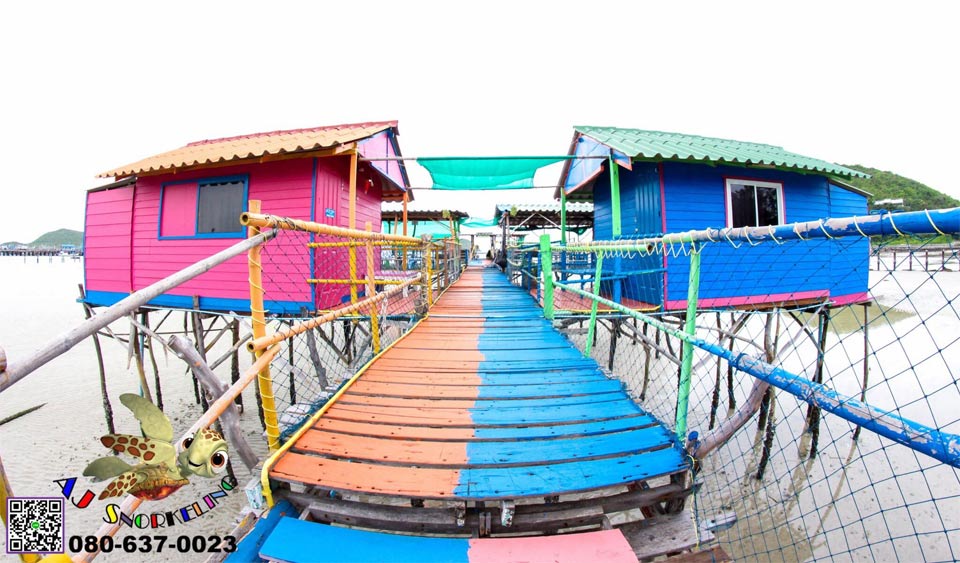 ที่พักแสมสารสัตหีบน้องหมาพักได้