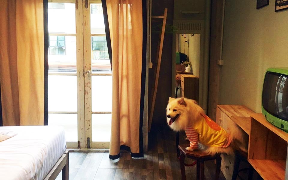 ที่พักจอมเทียนพัทยาน้องหมาพักได้