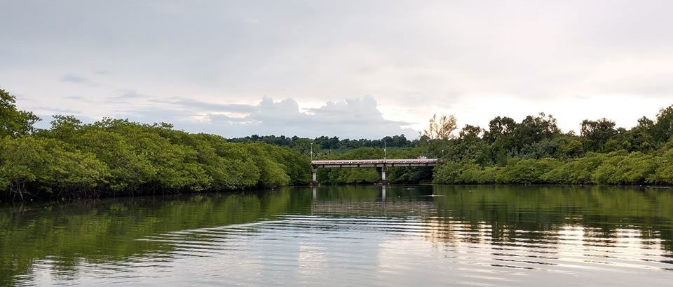 ที่พักไม้รูดหมาพักได้
