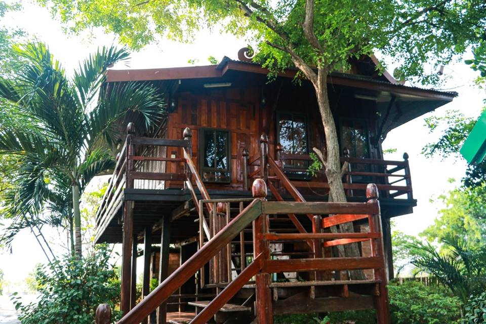 ที่พักริมน้ำอยุธยาน้องหมาพักได้