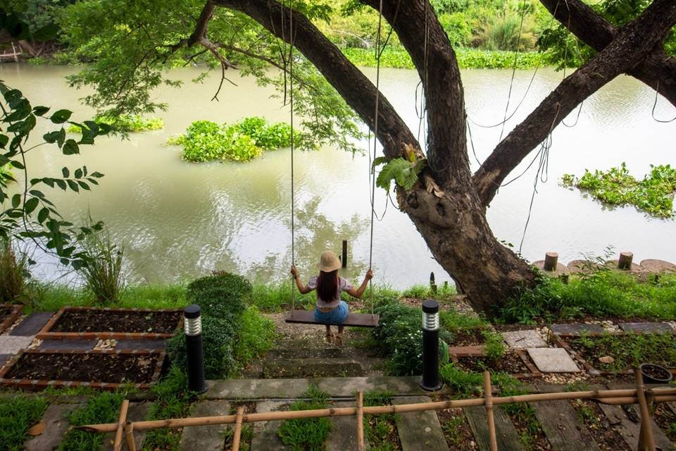 ที่พักริมน้ำอยุธยาน้องหมาพักได้
