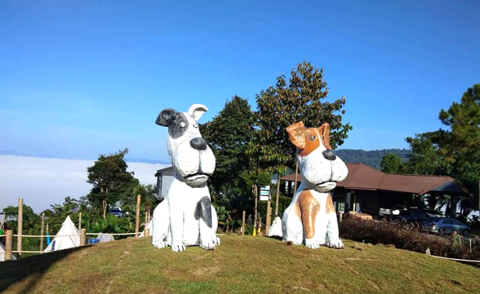 ที่พักเขาค้อหมาพักได้