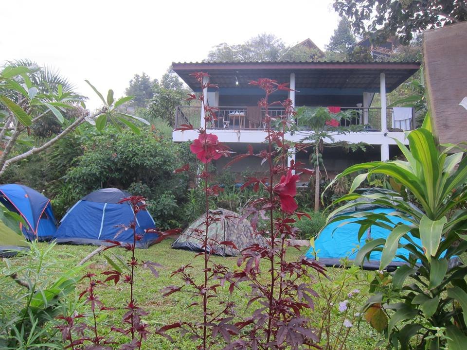 ที่พักเขาค้อน้องหมาพักได้