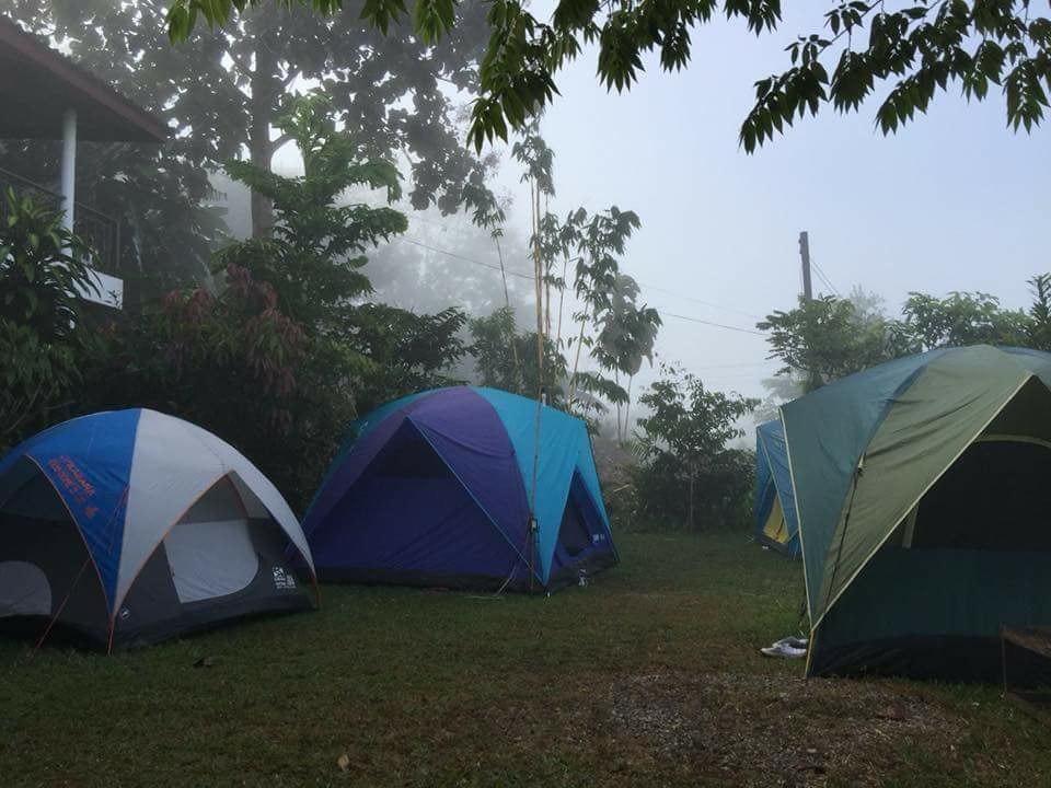 ที่พักเขาค้อน้องหมาพักได้