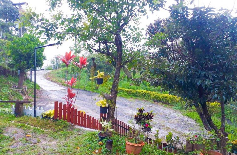ที่พักเขาค้อน้องหมาพักได้