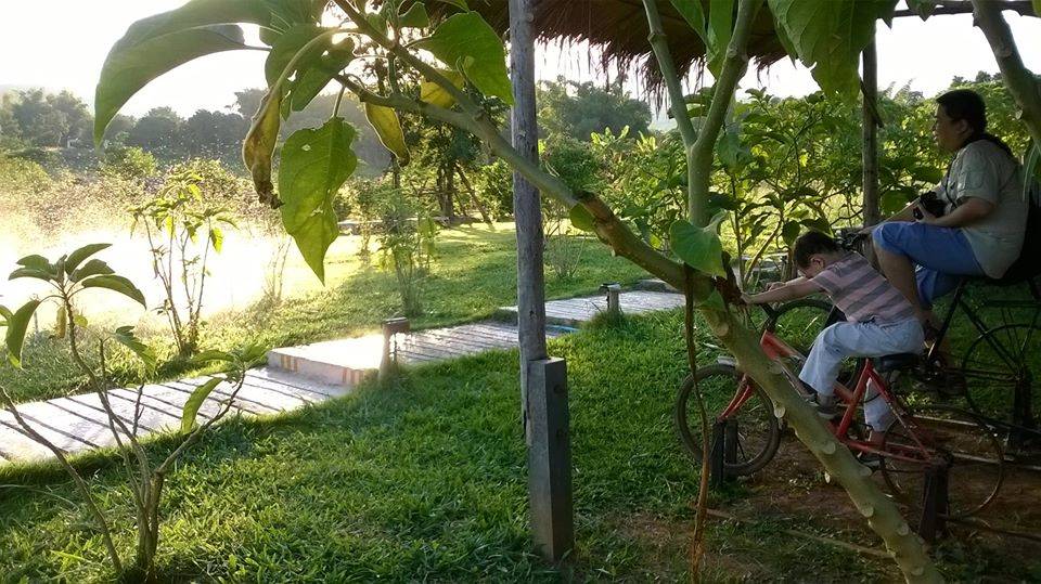 ที่พักเขาค้อน้องหมาพักได้