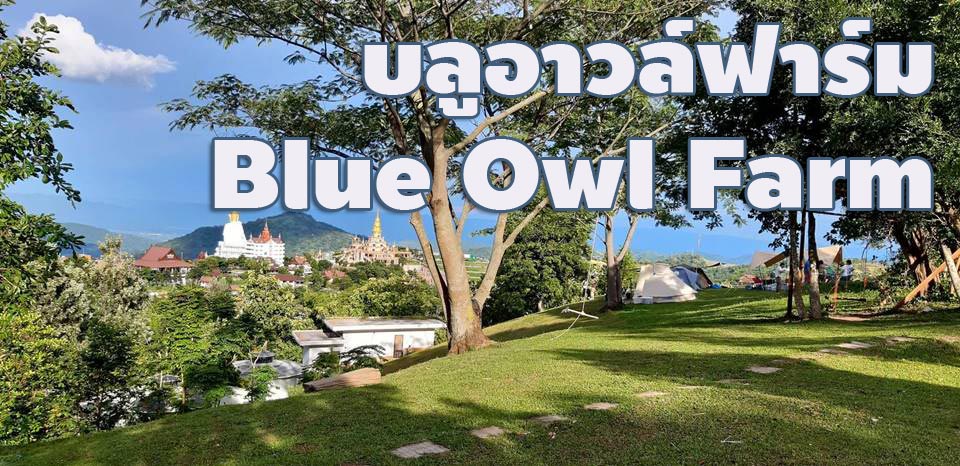ที่พักเขาค้อน้องหมาพักได้