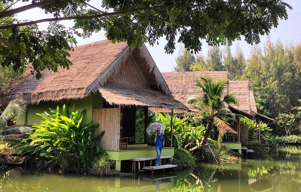 ที่พักอัมพวา แม่กลองน้องหมาพักได้