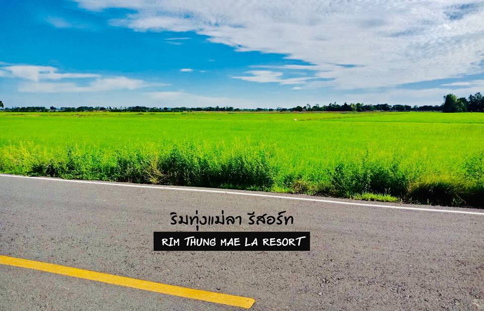 ที่พักสิงห์บุรีน้องหมาพักได้