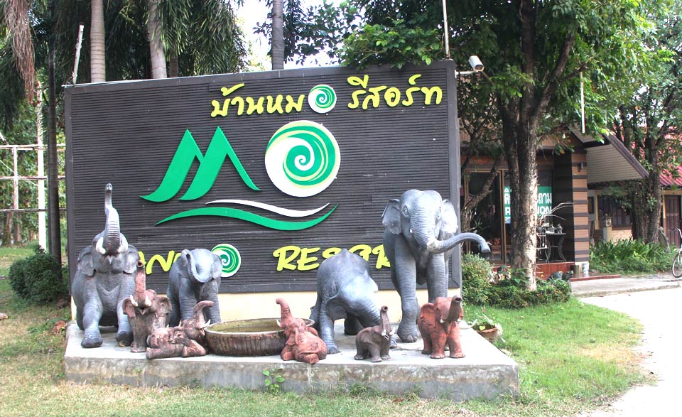 น้องหมาพักได้สุโขทัย